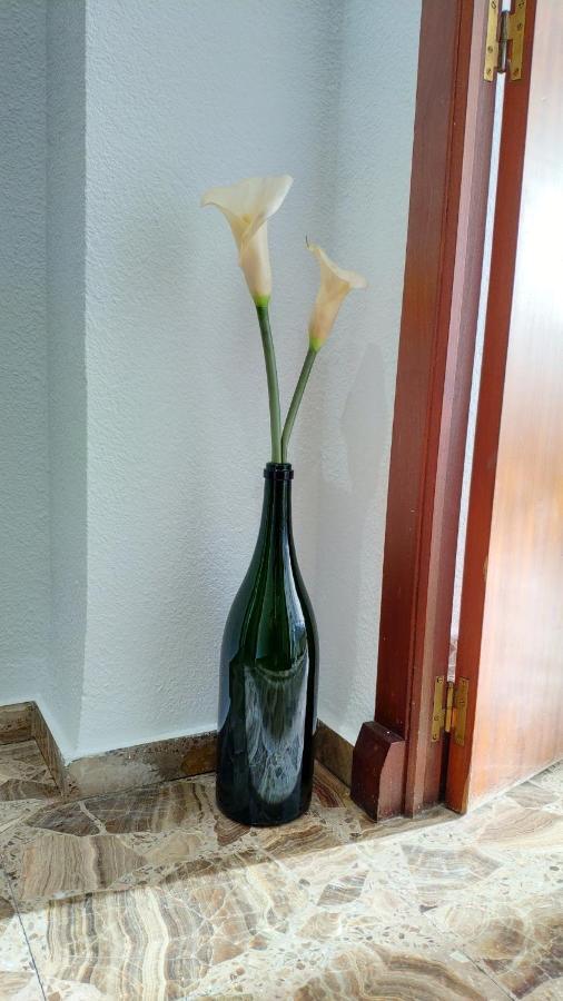 אליקאנטה Perfect Apartment Near The Beach מראה חיצוני תמונה